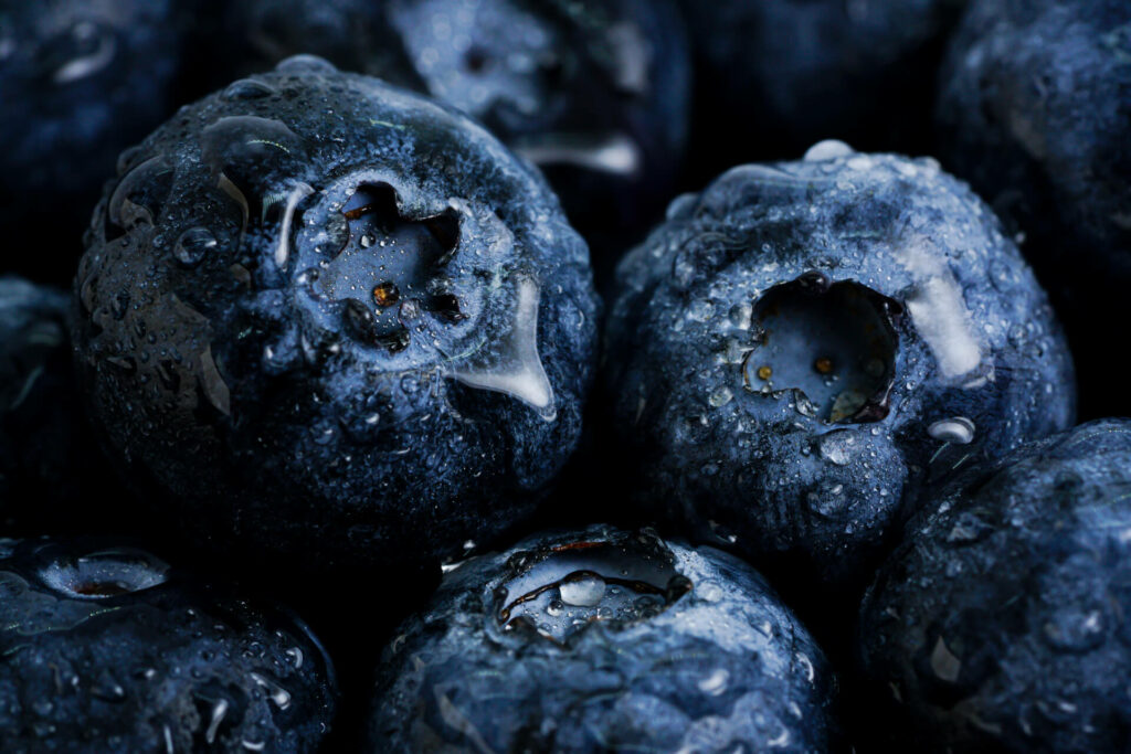 Stieler Fotografie Produkt Heidelbeeren Stieler Fotografie Produkt Business Fotografie Heidelbeeren